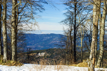 Similar image 10463111