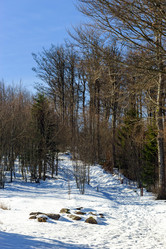 Similar image 10463117