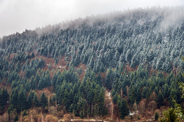 Similar image 10463130