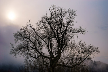 Similar image 10463133