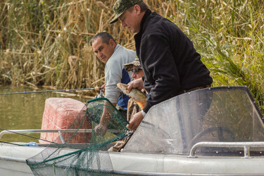 Similar image 10463314