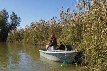 Similar image 10463317