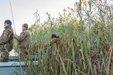 Similar image 10463320