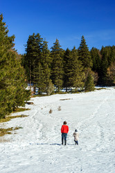 Similar image 10463387