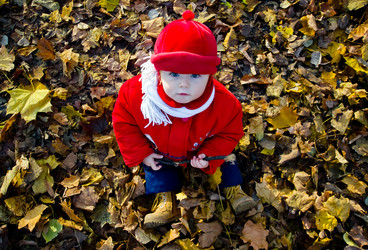 Similar image 10463442