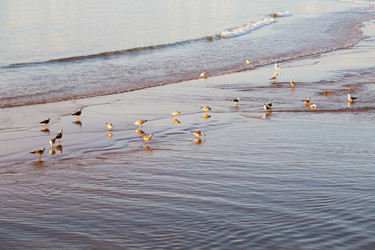 Similar image 10463469