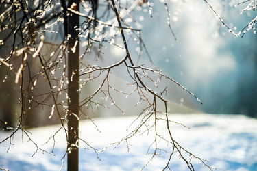 Similar image 10463499