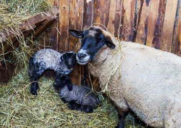 Similar image 10463593