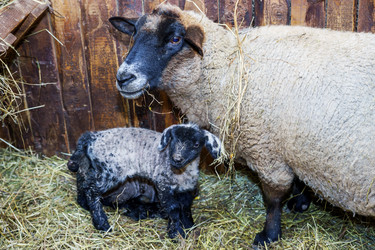 Similar image 10463609