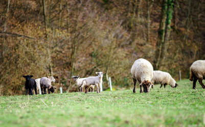 Similar image 10463613