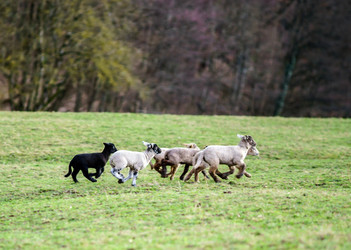 Similar image 10463619