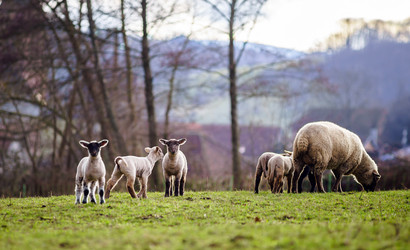 Similar image 10463620