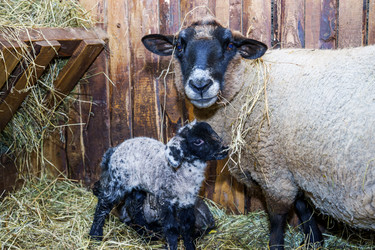 Similar image 10463623