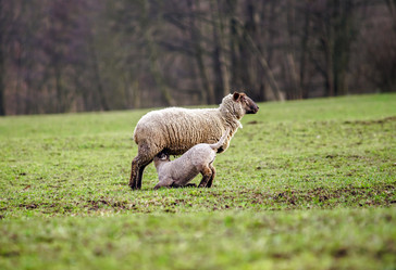 Similar image 10463624