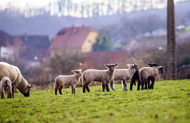 Similar image 10463625