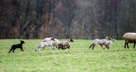 Similar image 10463627