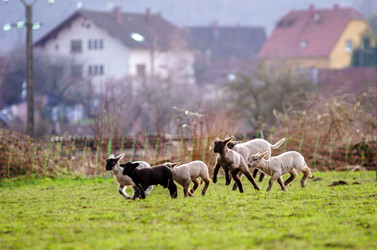 Similar image 10463628