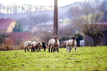 Similar image 10463630