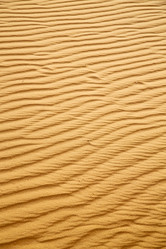 Similar image 10463643