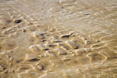 Similar image 10463644