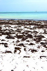 Similar image 10463652