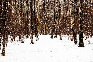 Similar image 10463662