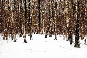 Similar image 10463663