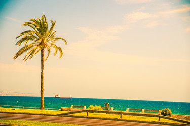 Similar image 10463673