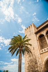 Similar image 10463678