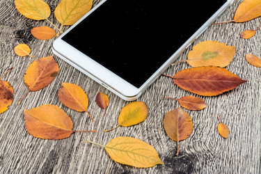 Similar image 10463691