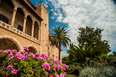 Similar image 10463704