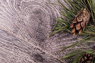 Similar image 10463711