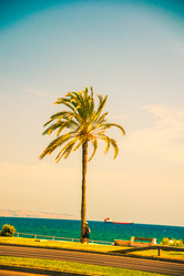 Similar image 10463729