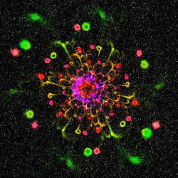 Similar image 10463795