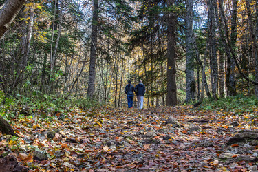 Similar image 10463825