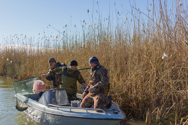 Similar image 10464263