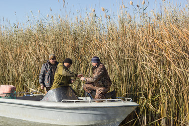 Similar image 10464264