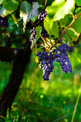 Similar image 10464279