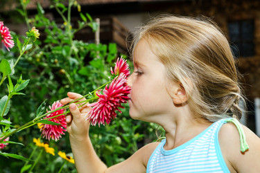 Similar image 10464291