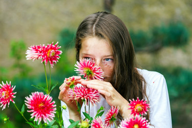 Similar image 10464299