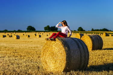 Similar image 10464374