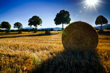 Similar image 10464390