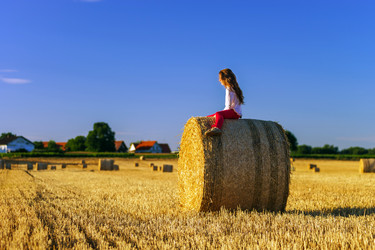 Similar image 10464395