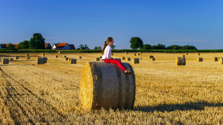 Similar image 10464396