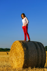 Similar image 10464402