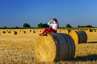 Similar image 10464405