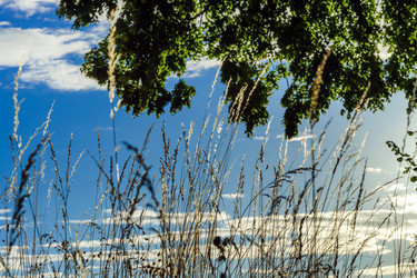 Similar image 10464410