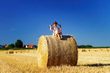 Similar image 10464411