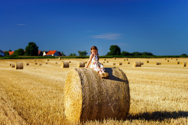 Similar image 10464412