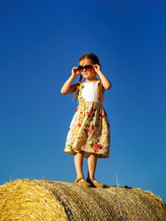 Similar image 10464424